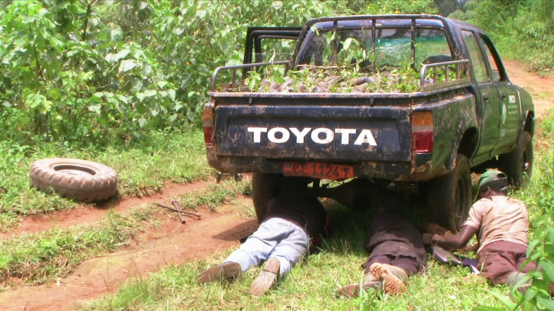 BREAKDOWN DURING TRANSPORTATION OF SEEDLINGS TO DOM COMMUNITY FOREST