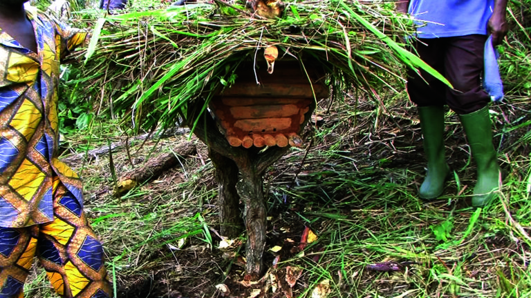 hive installation 7