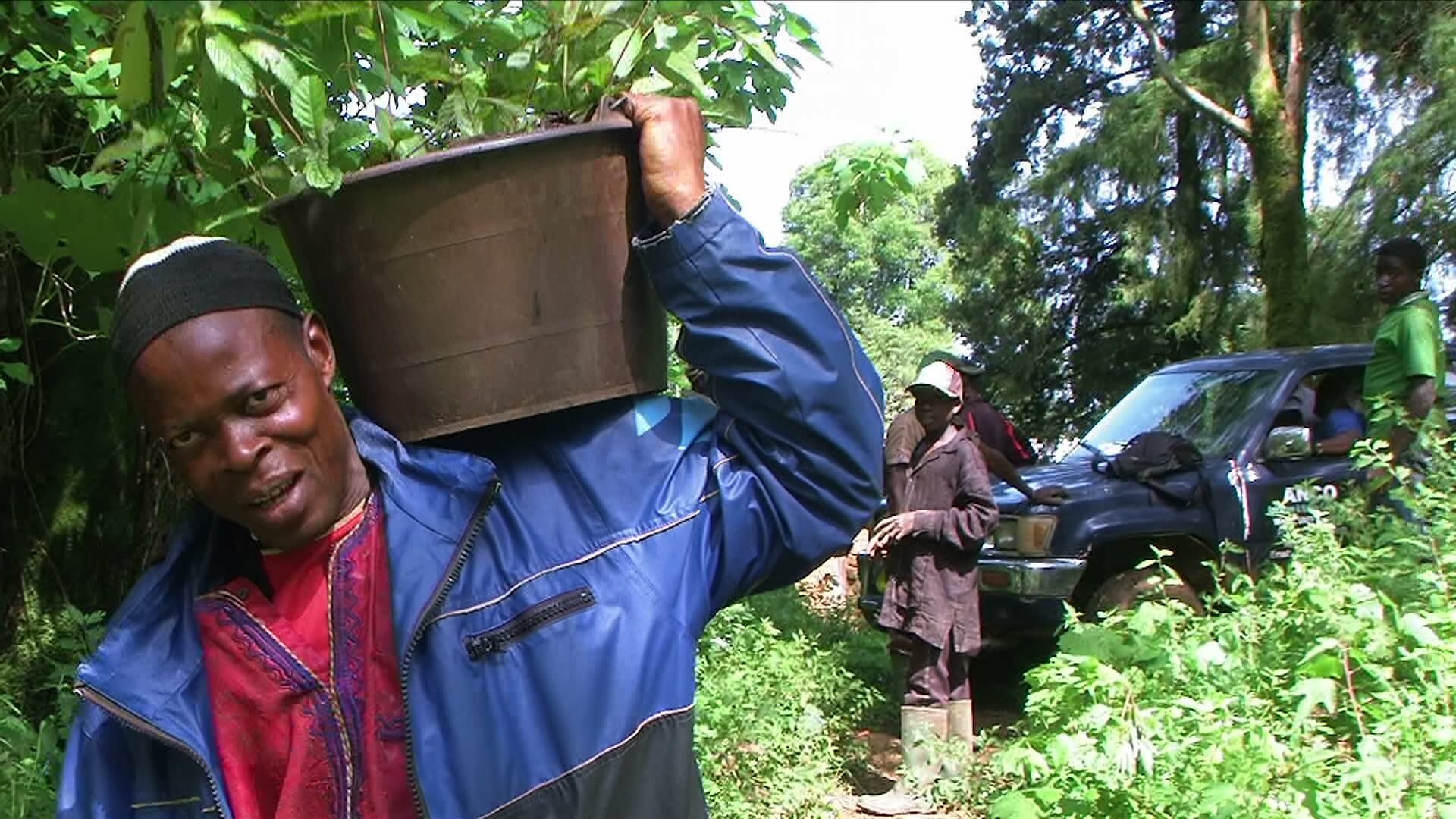 TREE PLANTING_TRANSPORTATION OF SEEDLINGS FOR PLANTING AT THE DOM COMMUNITY FOREST